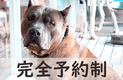 完全予約制